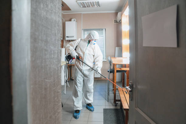 Mold Remediation for Rental Properties in Taft, FL